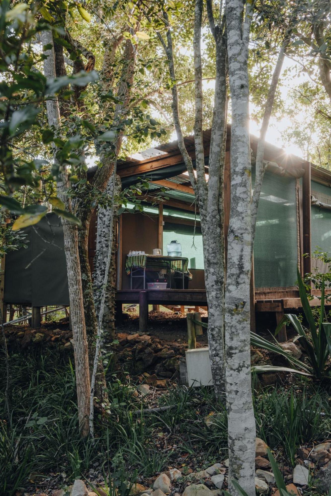 Firefly Falls Plettenberg Bay Exterior foto
