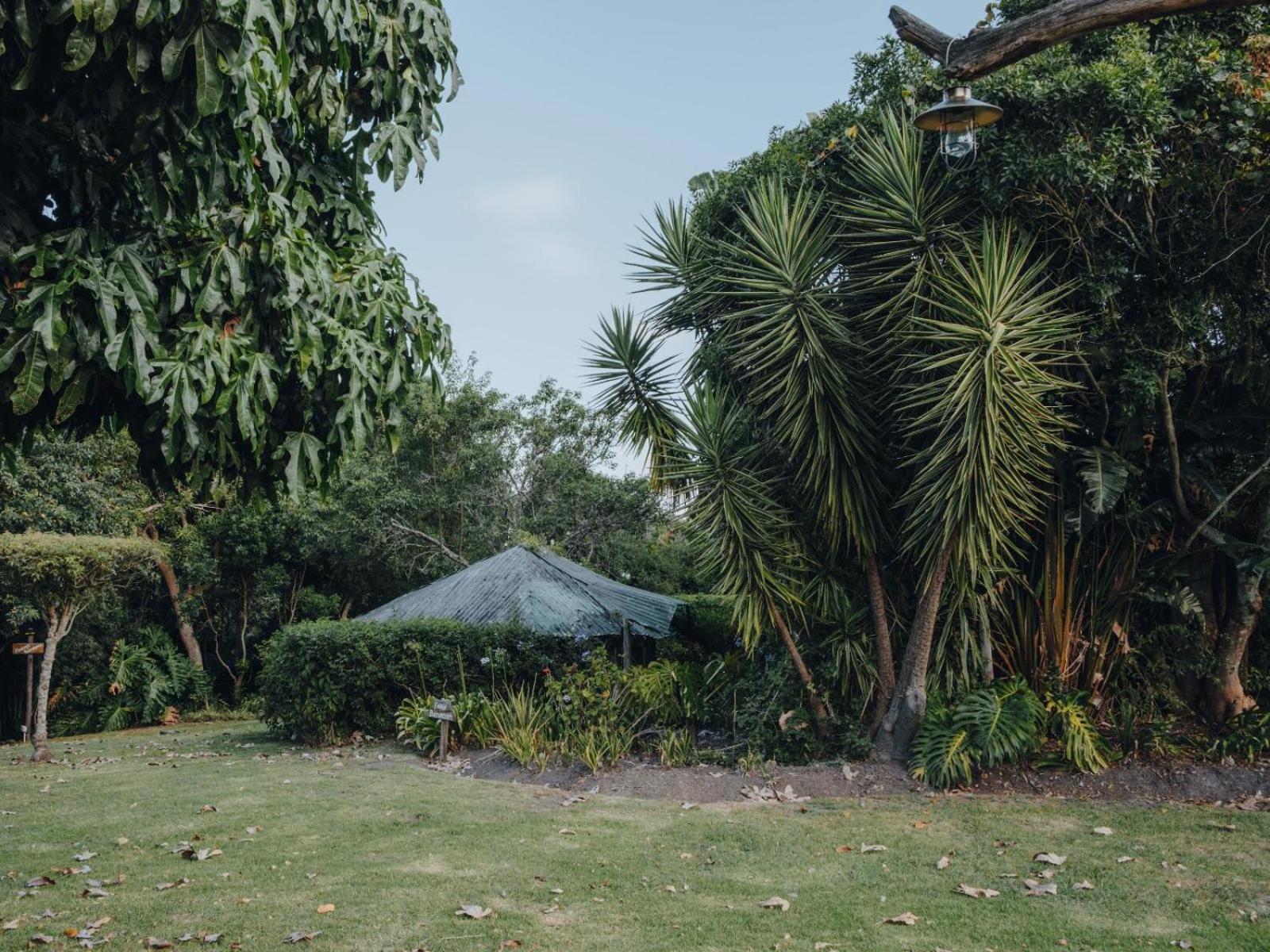 Firefly Falls Plettenberg Bay Exterior foto
