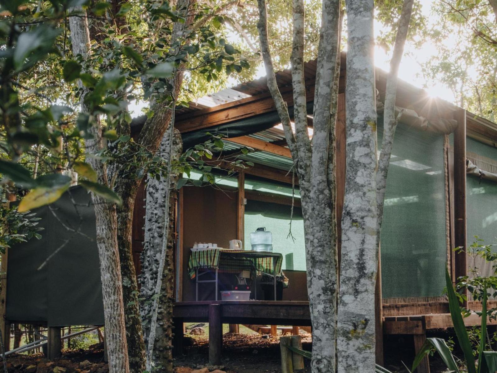 Firefly Falls Plettenberg Bay Exterior foto