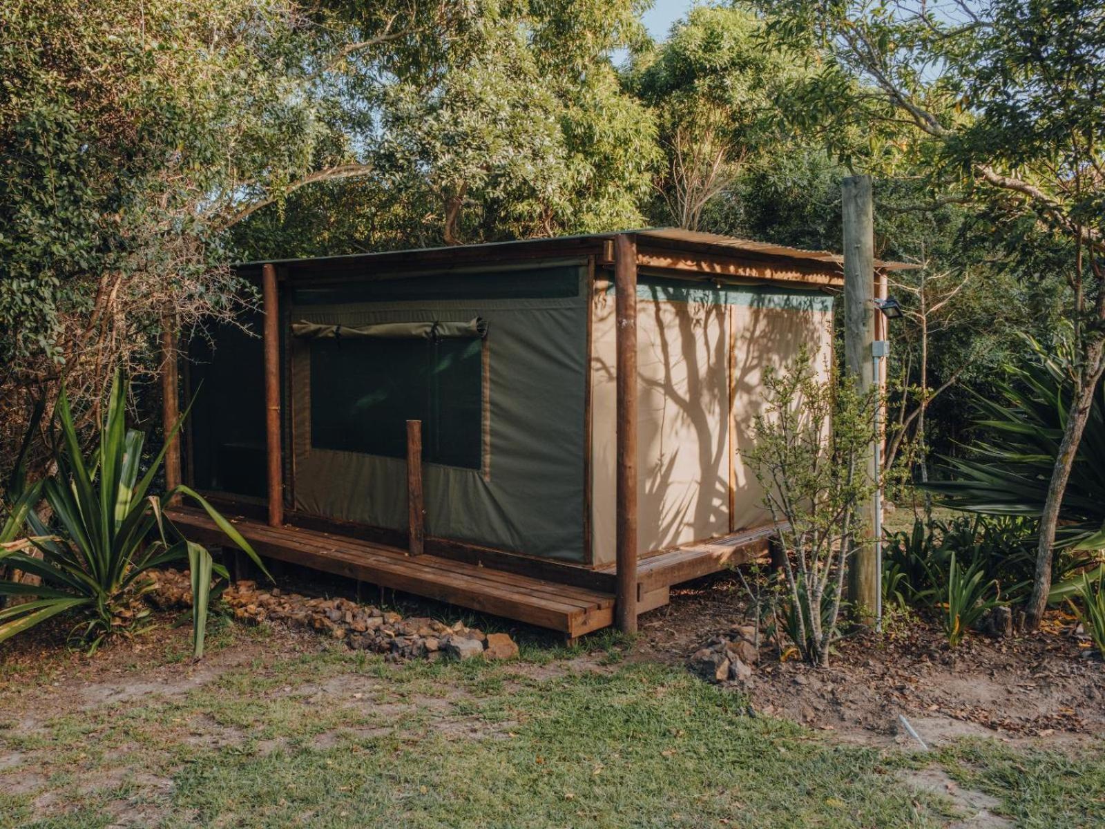 Firefly Falls Plettenberg Bay Exterior foto