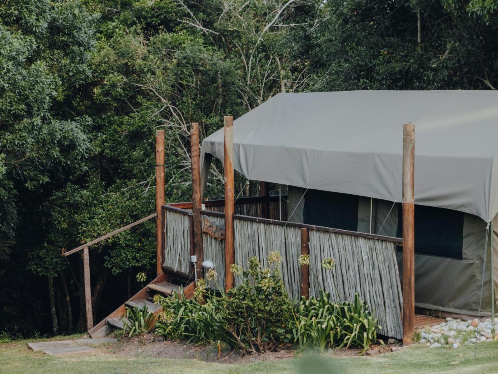 Firefly Falls Plettenberg Bay Exterior foto