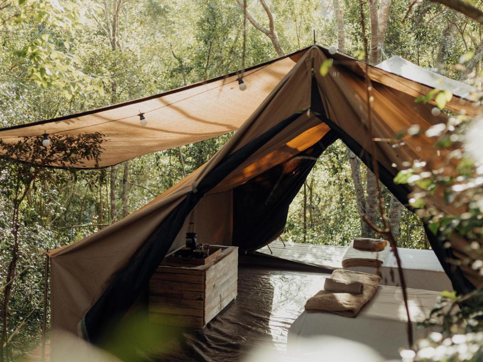 Firefly Falls Plettenberg Bay Exterior foto