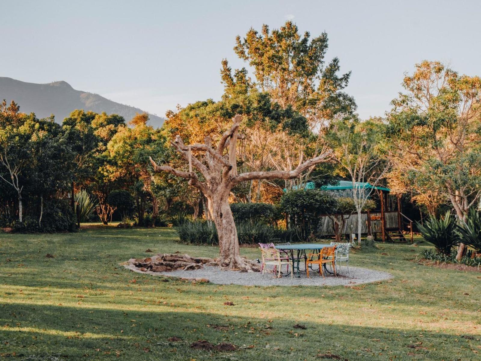 Firefly Falls Plettenberg Bay Exterior foto