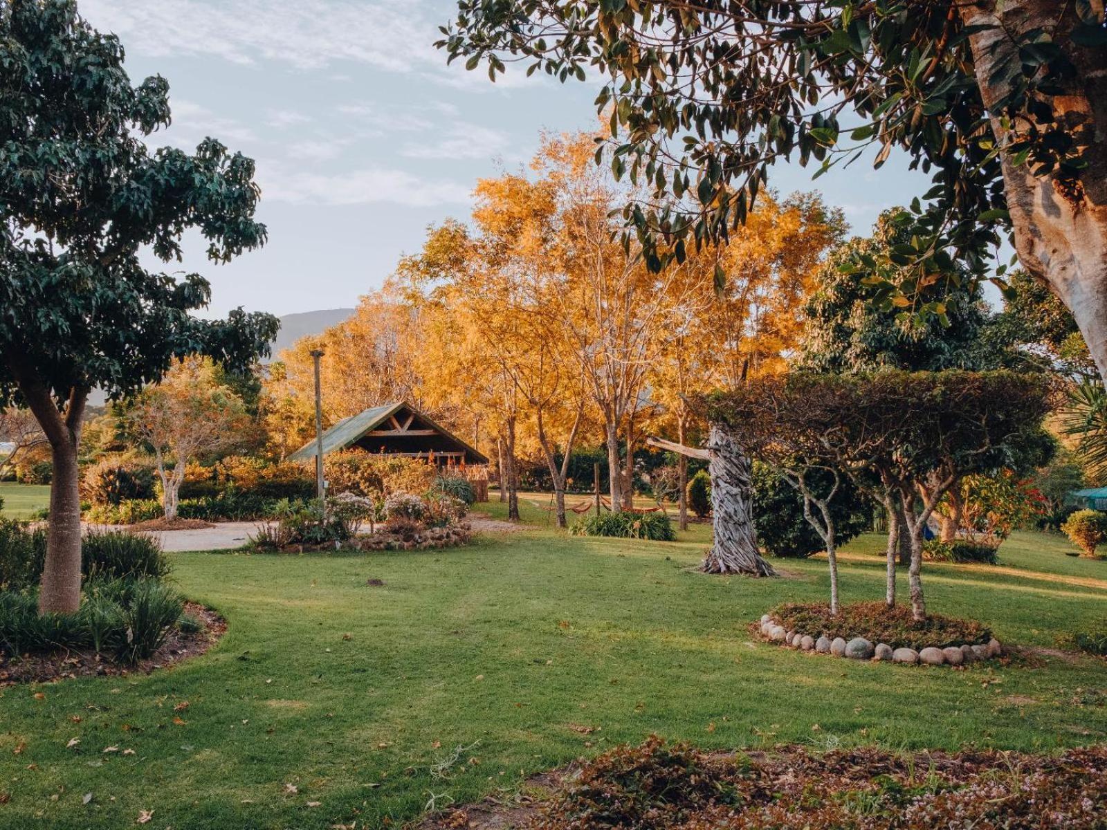 Firefly Falls Plettenberg Bay Exterior foto